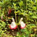 태원 유람선선착장 입구 이미지