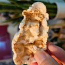 제주밀팡 | 제주 밀팡, 건강한 맛을 담은 통밀의 매력