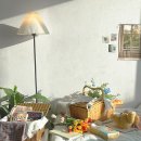 노르디스크 군산점 이미지