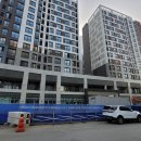 베리무인아이스크림할인점