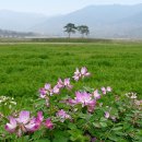 하동못안마을 이미지