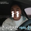 비타민은주