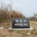 매봉산정상 이미지