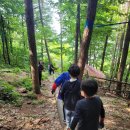 밤곶이 놀자 숲놀이터 이미지