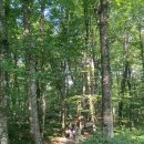 크로아티아 필수여행지, 플리트비체 국립공원(Plitvice Lakes National Park), 자그레브에서 가는 방법