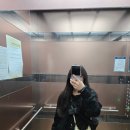 내가 이번생에 이걸 본다. 2025 건즈 앤 로지스 내한 콘서트
