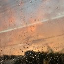 일동하와이 | 뮤지컬 티켓, 없다면 당첨돼라