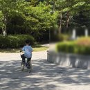 삼천리레스포자전거 | 초2 두발자전거 배우기 성공 🚲 삼천리 22인치 자전거까지 구입한 후기