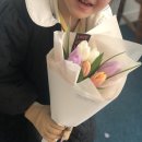 스튜디오삼삼 이미지