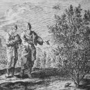 자라는 씨앗 이미지