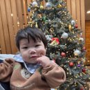 연타발 유성점 | 유성 연타발 방문후기｜개인룸 있어서 아기랑 가기 좋았던 양대창,소고기 맛집