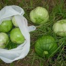 과림 낚시터 이미지