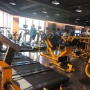 레몬핏휘트니스 이미지