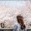 연제구-181 이미지