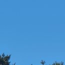 청도레일바이크 이미지