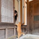 묘적사 - 1083 | 묘적사 후기