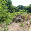 감곡2농장 이미지