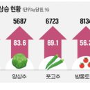 카카오농산물 이미지