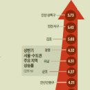싸움의고수경주