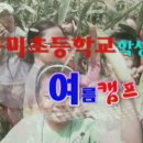 구미초교 이미지