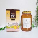 김인순의허니제주 이미지