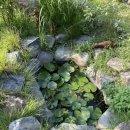 구담포레스트 이미지