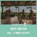 비팜 - 그 배틀이 아니었어? (필리핀 보홀 여행)