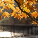 연(緣) 이미지