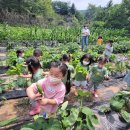 일성트루엘어린이집 이미지