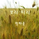 보리 이미지