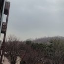 샛개해수욕장 네이버블로그