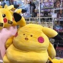 송간목장 이미지