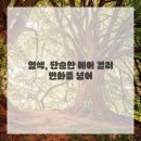 오늘예쁘다헤어염색#