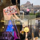 씨.비.씨 | 도쿄 디즈니씨 비오는 날 후기 | 대기시간, 꿀팁, 준비물 총정리