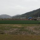 계현1구 Daum카페