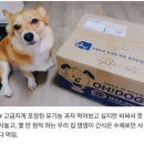 공감