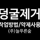늘푸른 주식회사