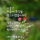 국장님 엄청 방가워유 이미지