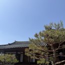 묘운 | W7 수성호텔 아이비홀 뷔페 연회장 시식 / 대구 카페 묘운 상견례 후기