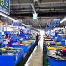 부산활어 이미지