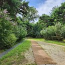 덕동산공원1 이미지