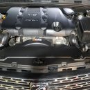 SHARK MOTOR OIL 이미지