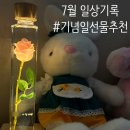 장미세탁 | [일상] 리비트 장미무드등/ 엄마생신 축하파티, 티엔디엔 발로나 초코케잌/ 제우스랩 포터블모니터 후기