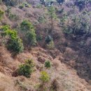 저지오름 이미지