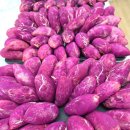 철원고구마 이미지