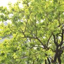 시대공인중개사사무소 이미지