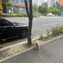 태기농장 | 23주차 쌍둥이 임신 일상 | 드디어 육아휴직!! 두 번째 태교여행은 제주도🏝️