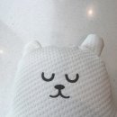 큰곰유치원 | 아기 냉감인형 더위 많이 타는 유치원 조카 생일 선물 후기