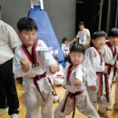 국가대표 곡정 태권도장 이미지