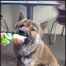 통일카센타 이미지